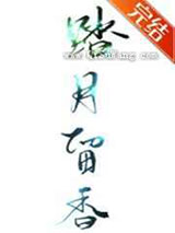 踏月留香小说