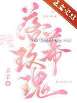 落幕玫瑰小说