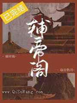 辅帝阁小说