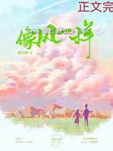 像风一样小说
