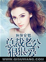 顶级宠婚：总裁老公狠狠爱小说