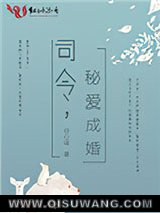 司令，秘爱成婚小说