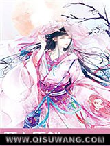 乱世佳人：第一军阀夫人小说