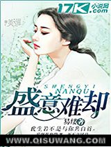 盛意难却小说