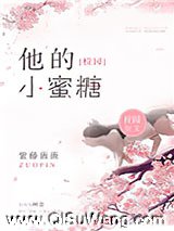 他的小蜜糖小说