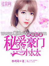 夜撩甜妻：秘爱豪门小太太小说