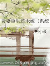 贤妻重生还未嫁（系统）小说