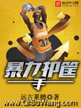 暴力护筐手小说