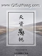 天资愚钝小说