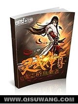 灵武神尊小说