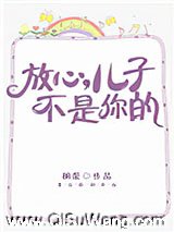 放心，儿子不是你的小说