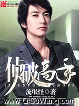 侦破高手小说
