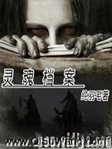 灵魂档案小说