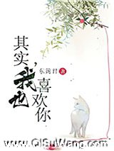 其实，我也喜欢你小说