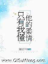 只有我懂他的柔情小说