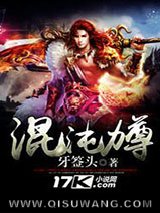混沌力尊小说