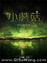 小蘑菇（末世）小说