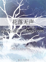 花落无声小说