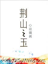 荆山之玉小说