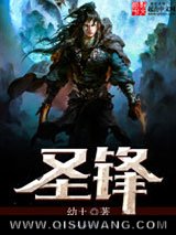 圣锋小说