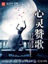 心灵赞歌小说
