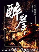 醉拳小说