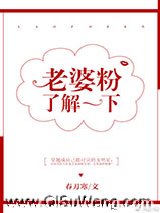 老婆粉了解一下[娱乐圈]小说