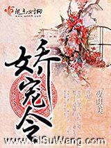 娇宠令小说