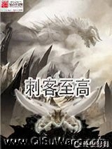 刺客至高小说