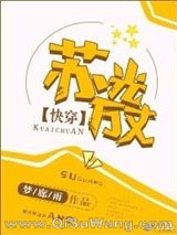 苏光万丈小说