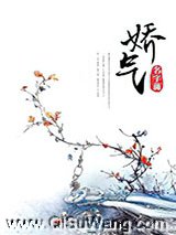 娇气小说