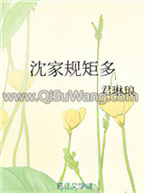 沈家规矩多小说