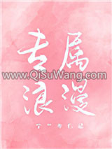 专属浪漫小说