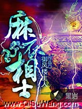 麻衣相士小说