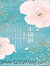 小团圆小说