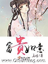 富贵如意小说