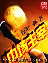 中场主宰小说