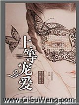上等宠爱小说