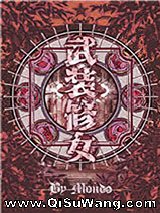 武装修女小说