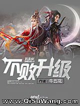 不败升级小说
