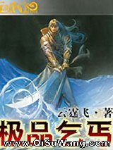 极品乞丐小说