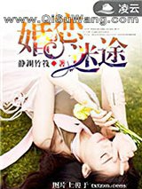 婚恋迷途小说