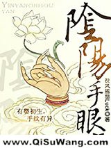 阴阳手眼小说