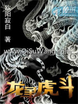 龙争虎斗小说