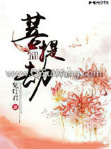 菩提劫小说