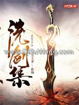 洗剑集小说
