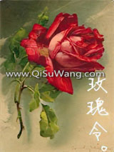 玫瑰令小说