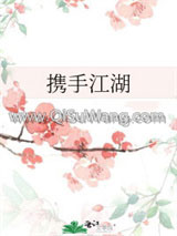 携手江湖小说