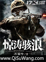 惊涛骇浪小说