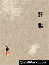 肝胆小说